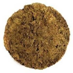 Home 7 mukhi rudraksha – bead of wealth & prosperity